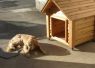 ラブラドールの犬小屋